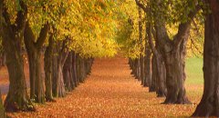 Image credit gj_thewhite Queen's Park